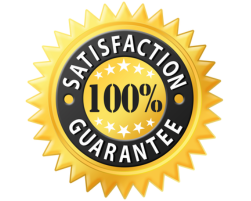 Website Icon - 100% satisfaction Guarantee