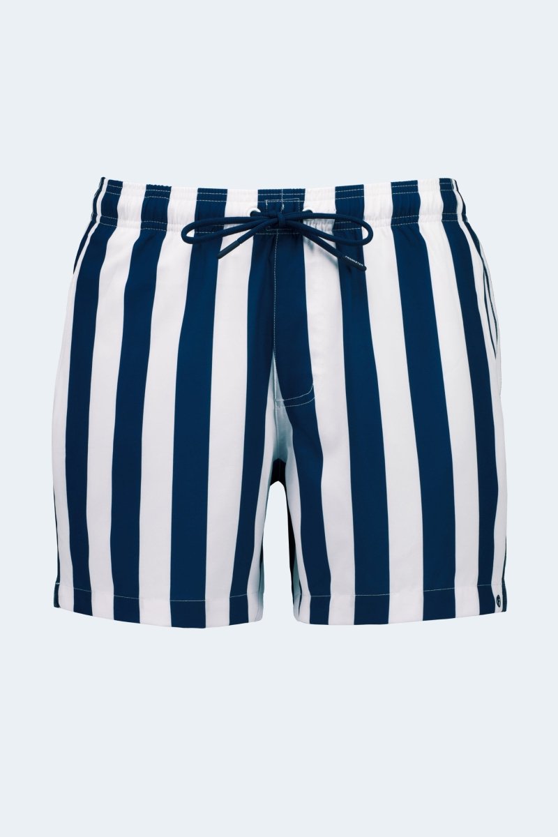 Frankster Cabanas * The Swims Men's Shorts in navy and white vertical striped fabric with elastic waistband and drawstring