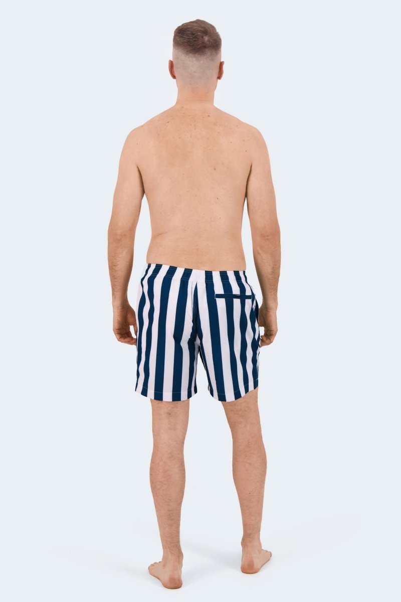 Frankster Cabanas * The Swims navy and white striped Men's Shorts in lightweight fabric viewed from the back