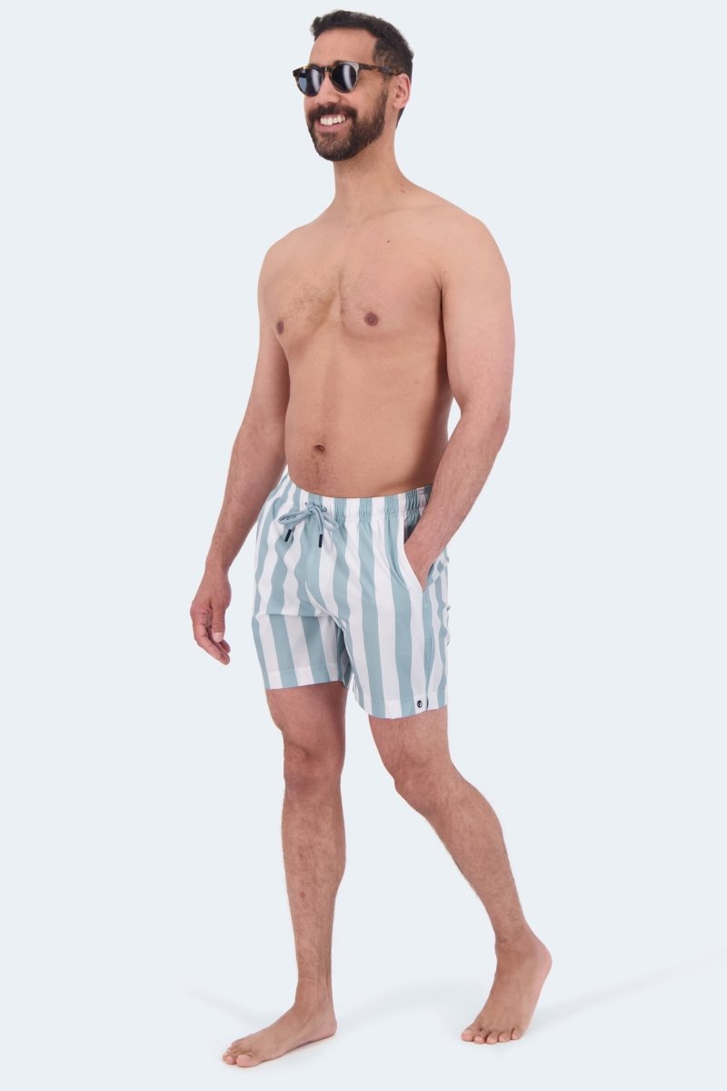 Frankster Lagunas * The Swims Men's Shorts in blue and white striped lightweight fabric with side pockets and a relaxed fit